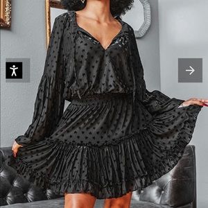NWT Buddy Love dress. Black with sheer stars on it.
